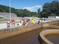 Ferienspiel der Stadtgemeinde Neufeld/L. 2019