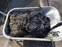 Ablagerungen (Verzopfungen) durch textile Fasern